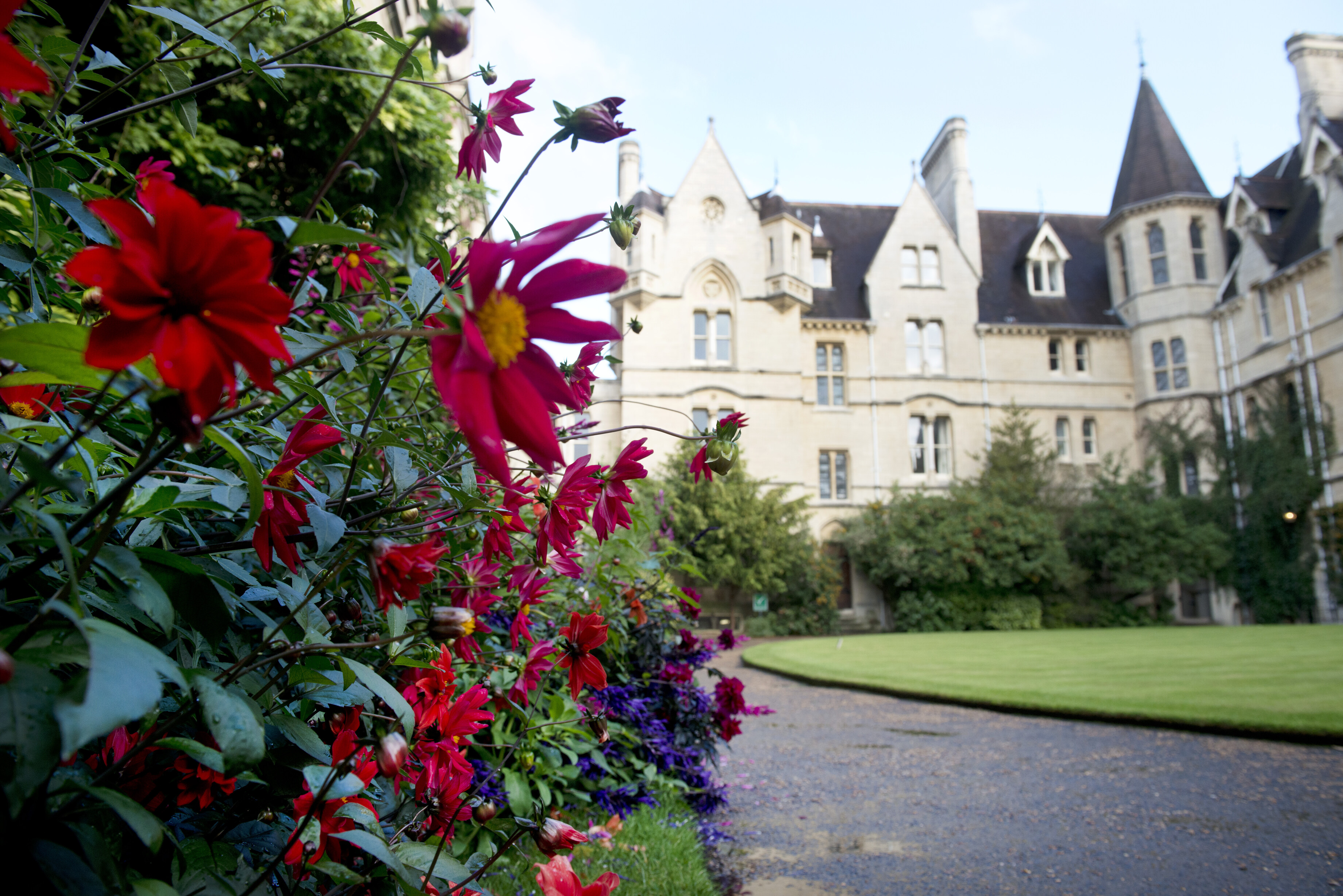 Flowers Front Quad